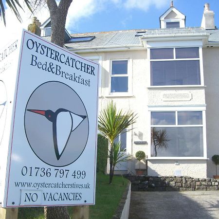 Oystercatcher St Ives Extérieur photo