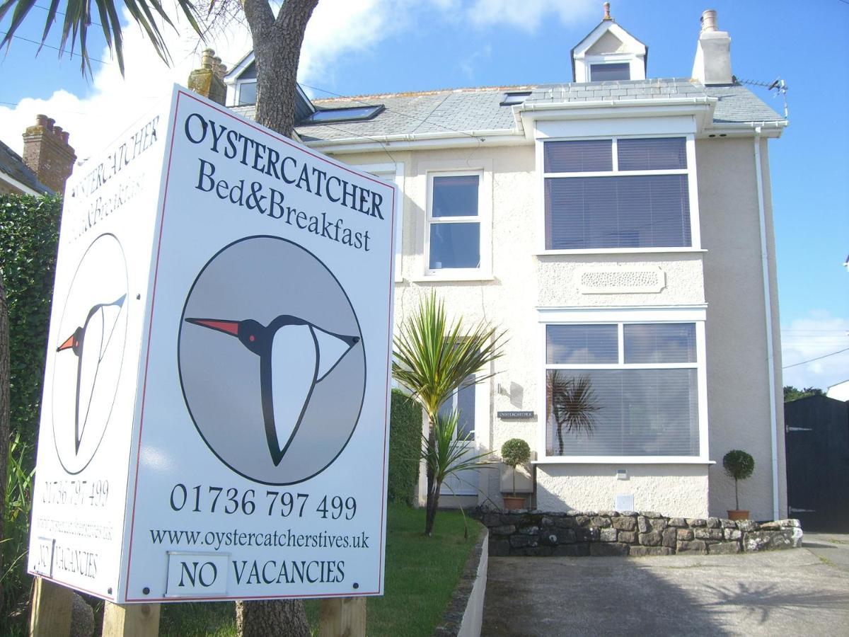 Oystercatcher St Ives Extérieur photo